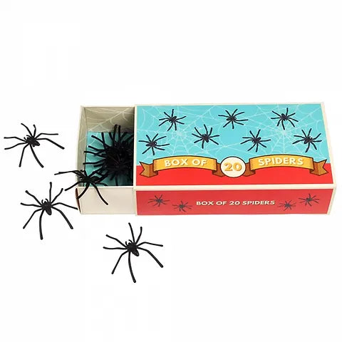 Box of Spiders