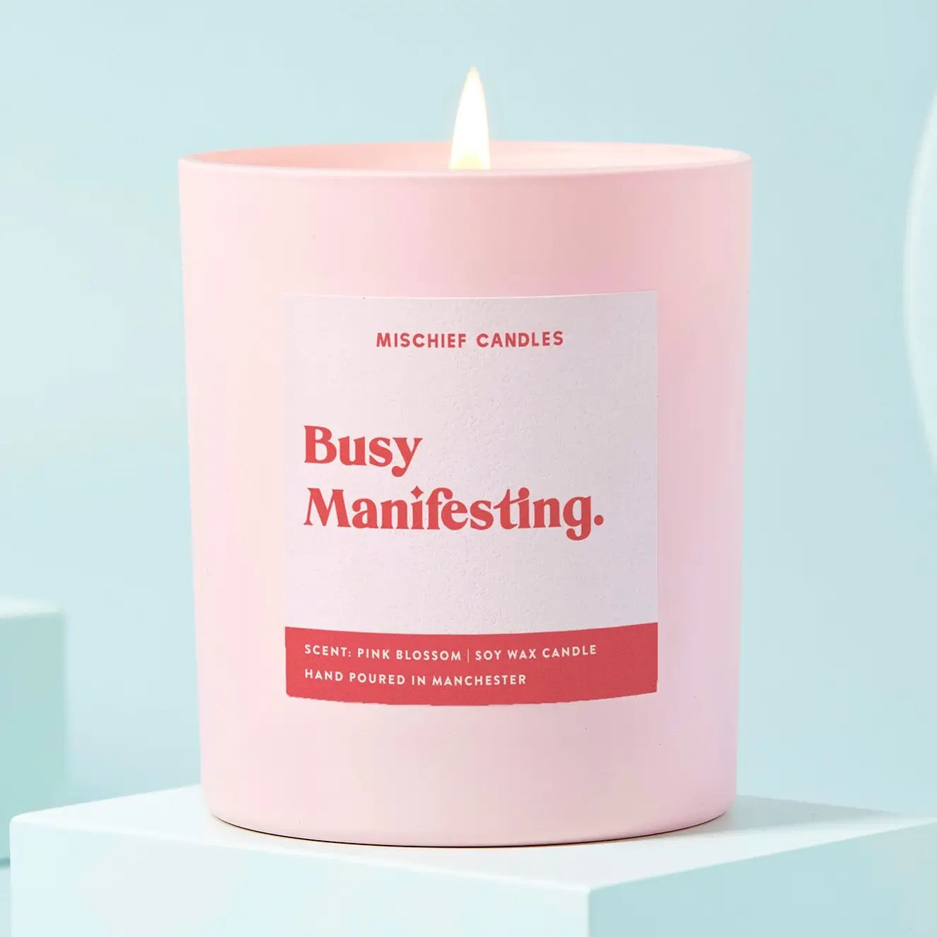 Busy Manifesting Friendship Gift -  Soy Scented Candle